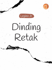 Image of DINDING RETAK