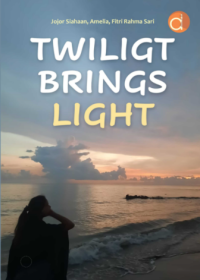 Image of TWILIGHT BRINGS LIGHT